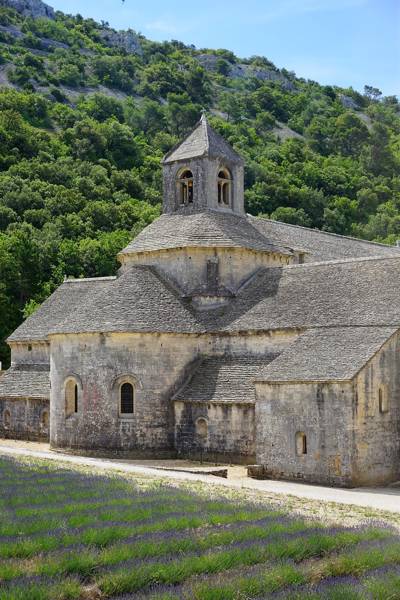 Romanesque apse of Sénanque Abbey framed by lavender fields, Luberon