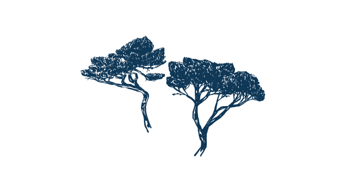 trees illustration