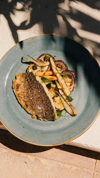 Fresh local fish dish at Los Olivos restaurant, Beaumier hotel Petunia, Ibiza