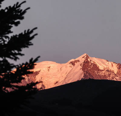 Alpaga Mont Blanc