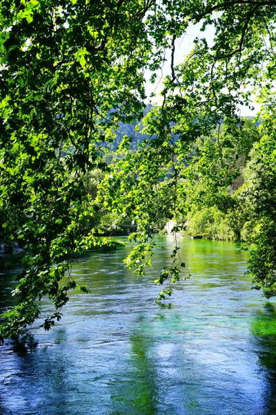 The Sorgue river in L'Isle-sur-la-Sorgue, Luberon, Provence