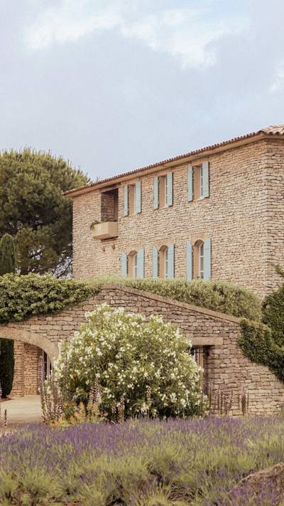 Fields of lavender in bloom at the 5-star Capelongue Hotel, Luberon Provence