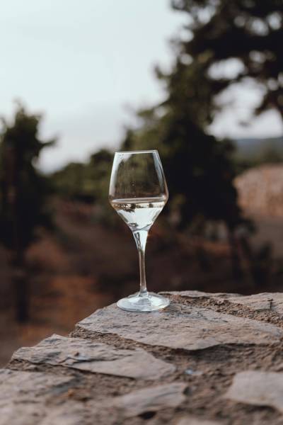 Provençal wine tasting in the Luberon countryside near the Beaumier hotel Capelongue