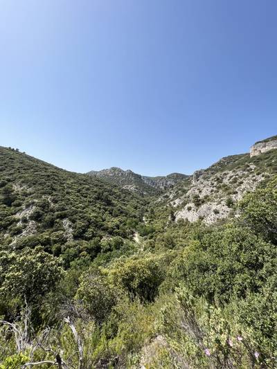 Wild Luberon landscape for hiking near the Beaumier hotels in Provence