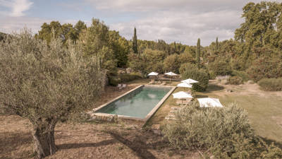 Pool and olive trees in the landscaped grounds of Le Galinier, Beaumier estate in Lourmarin, Luberon